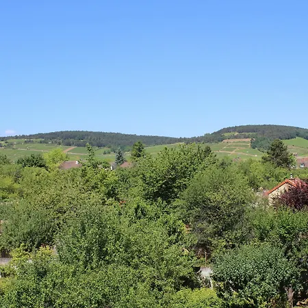 L'oree Des Vignes Beaune (Cote d'Or)